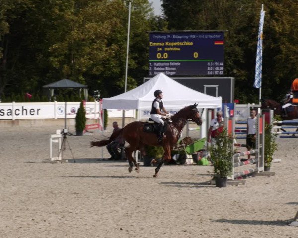 Reitturnier Babenhausen 2023