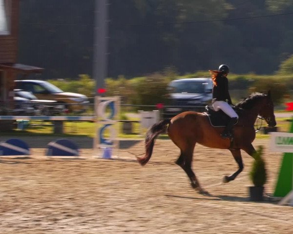Reitturnier Bad Liebenstein/Sorga 2023