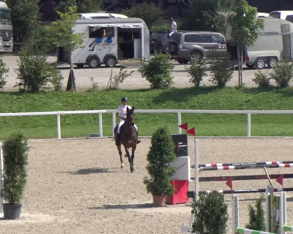 Reitturnier Bülach 2023