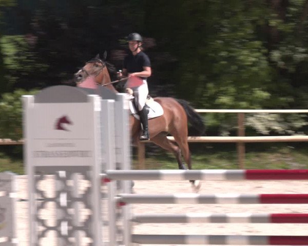 Reitturnier St. Ulrich am Pillersee 2023