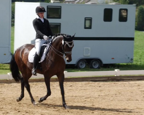 Reitturnier Babenhausen 2023