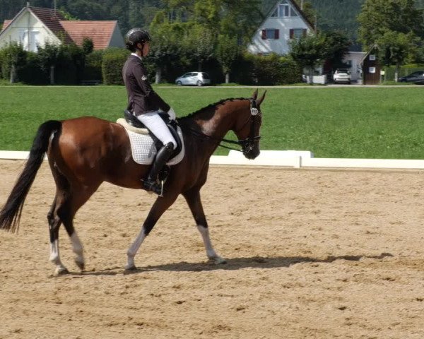 Reitturnier Babenhausen 2023