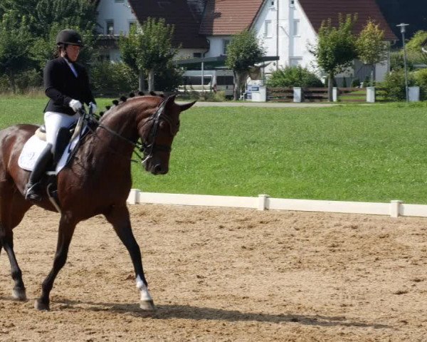 Reitturnier Babenhausen 2023