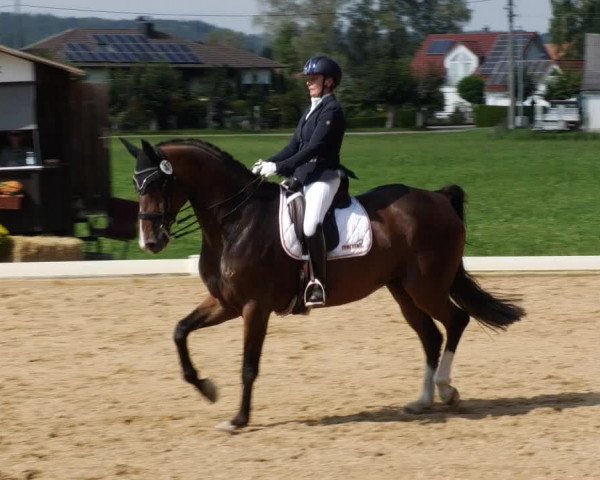 Reitturnier Babenhausen 2023