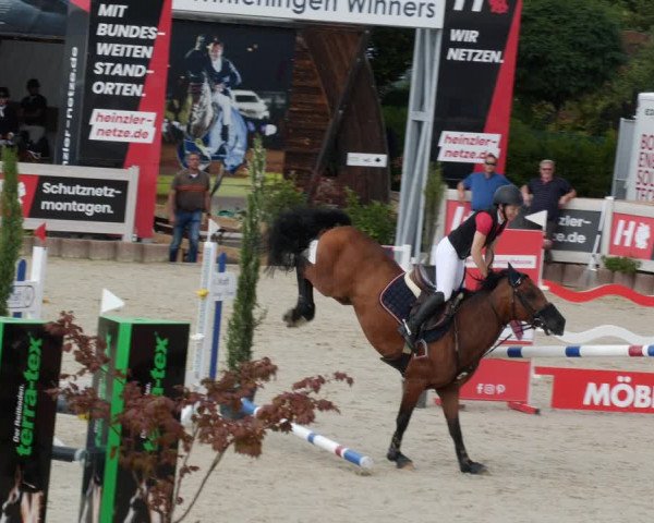Reitturnier Winterlingen 2023