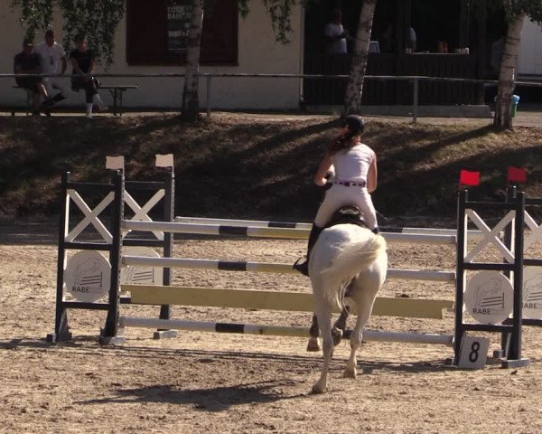 Reitturnier Langenleuba - Oberhain 2023