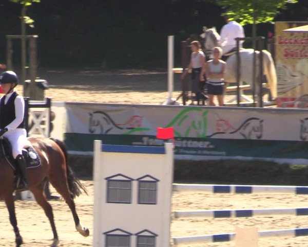 Reitturnier Langenleuba - Oberhain 2023