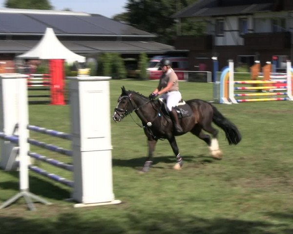Reitturnier Münchehofe 2023
