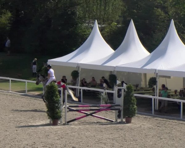 Reitturnier Bülach 2023