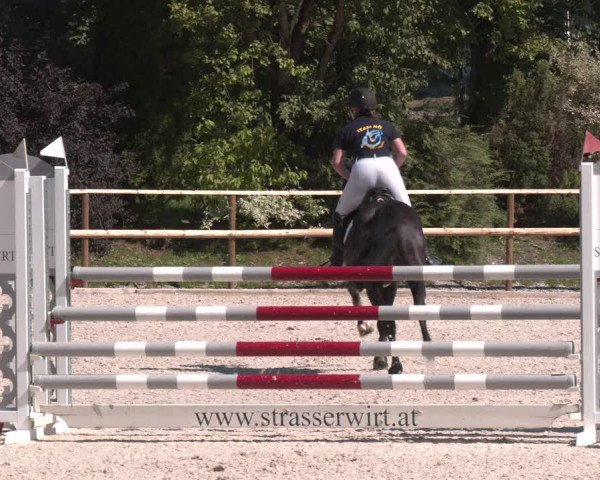 Reitturnier St. Ulrich am Pillersee 2023