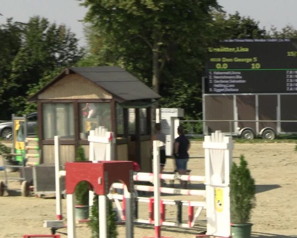 Reitturnier Appelhülsen 2023