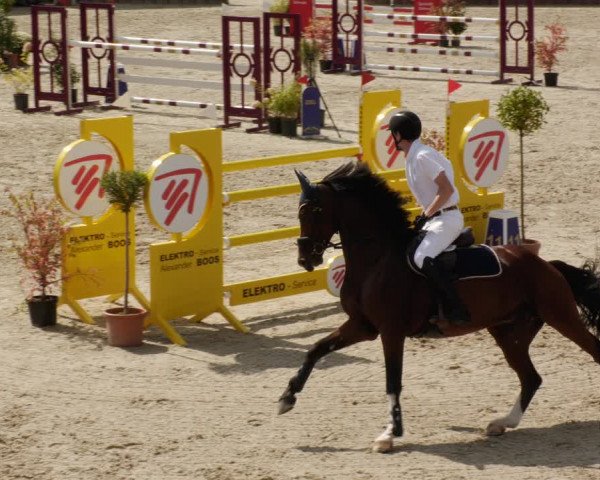 Reitturnier Winterlingen 2023