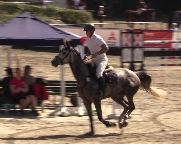 Reitturnier Langenleuba - Oberhain 2023