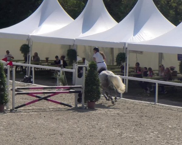 Reitturnier Bülach 2023