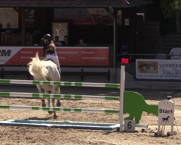 Reitturnier Langenleuba - Oberhain 2023
