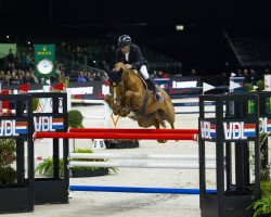 stallion Cayenne de Clarence (Selle Français, 2012, from Baloubet du Rouet)