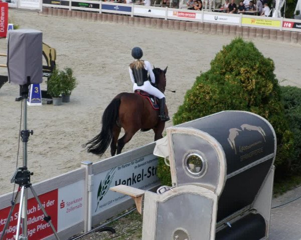 Reitturnier Winterlingen 2023
