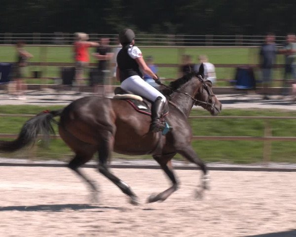 Reitturnier St. Ulrich am Pillersee 2023