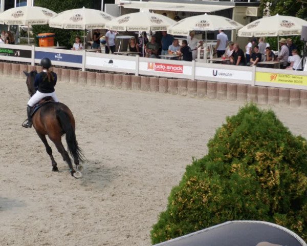 Reitturnier Winterlingen 2023