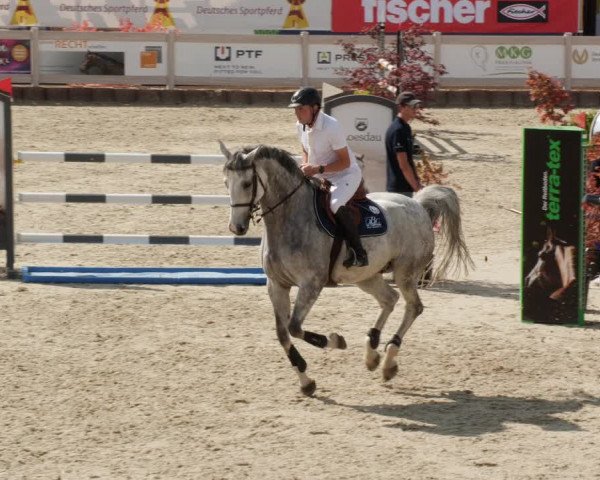 Reitturnier Winterlingen 2023