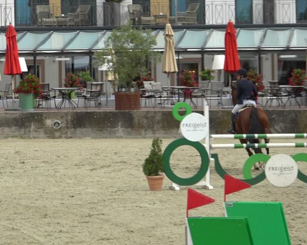 Erntedank Springturnier Nörten-Hardenberg 2021