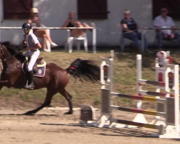 Reitturnier Langenleuba - Oberhain 2023