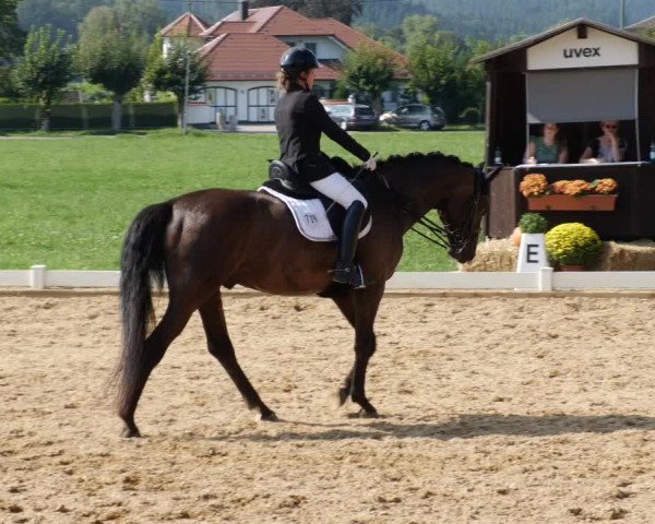 Reitturnier Babenhausen 2023