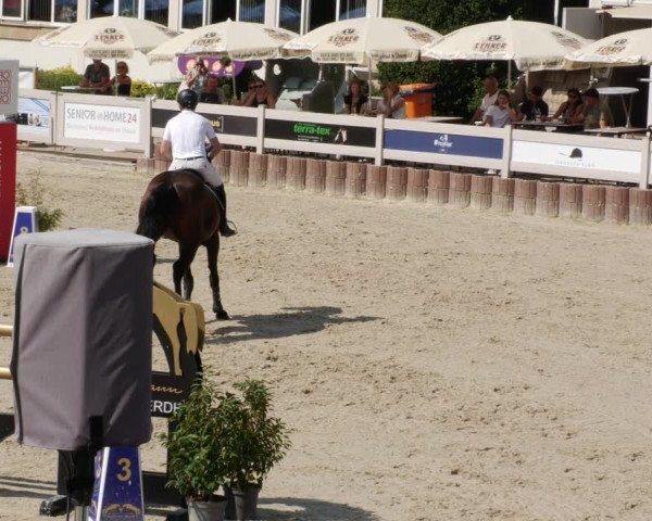 Reitturnier Winterlingen 2023