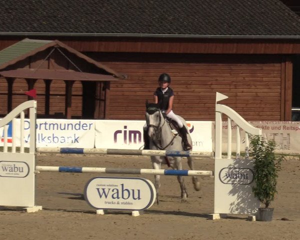 Reitturnier Dortmund-Barop 2023