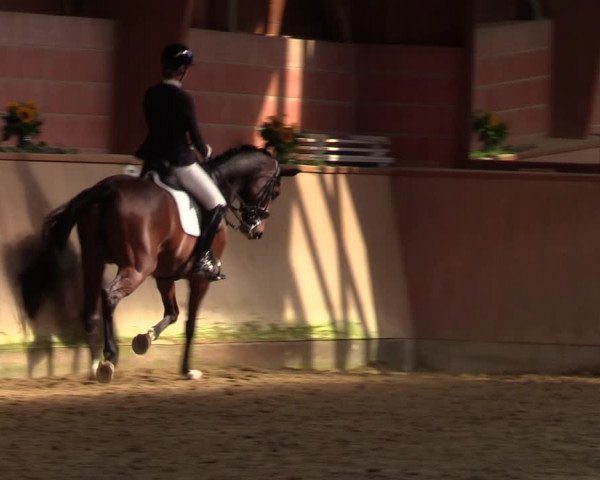 Reitturnier Dortmund-Barop 2023