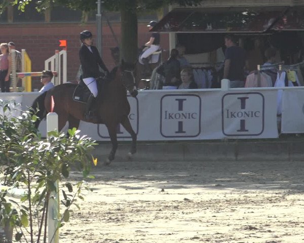 Reitturnier Osnabrück 2023