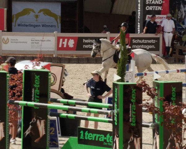 Reitturnier Winterlingen 2023