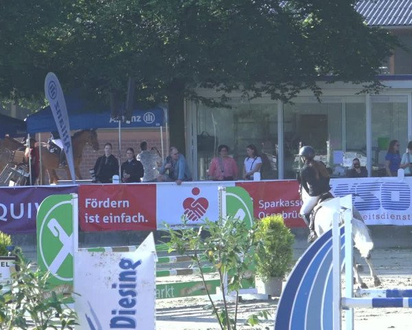 Reitturnier Osnabrück 2023