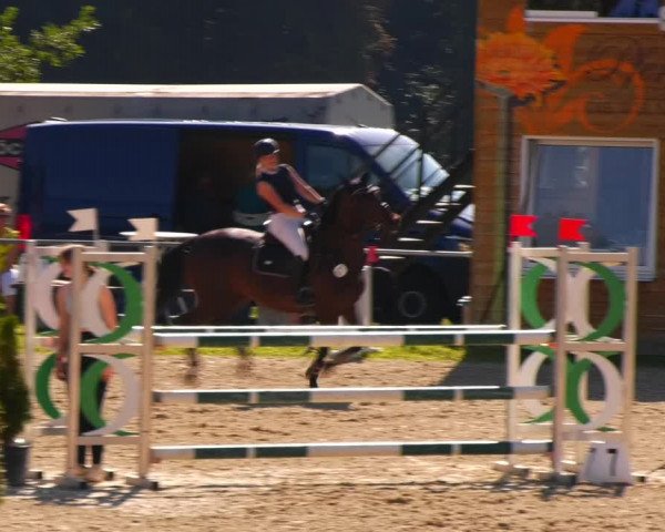 Reitturnier Bad Liebenstein/Sorga 2023