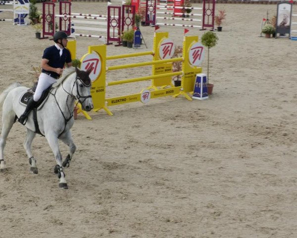 Reitturnier Winterlingen 2023