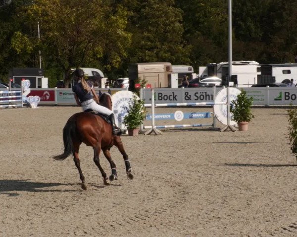 Reitturnier Babenhausen 2023