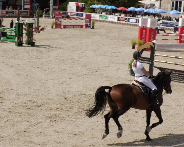 Reitturnier Winterlingen 2023