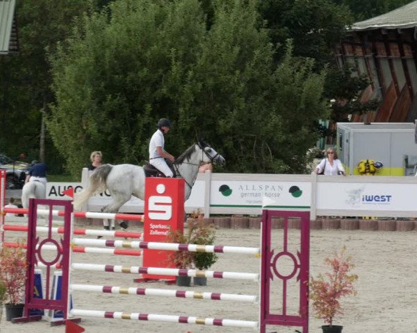 Reitturnier Winterlingen 2023