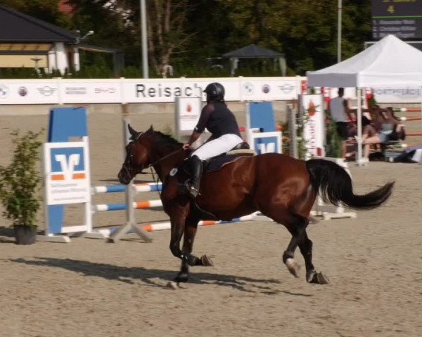 Reitturnier Babenhausen 2023
