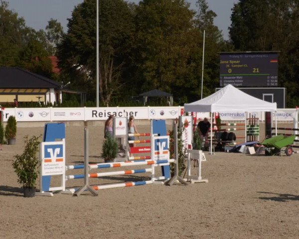 Reitturnier Babenhausen 2023