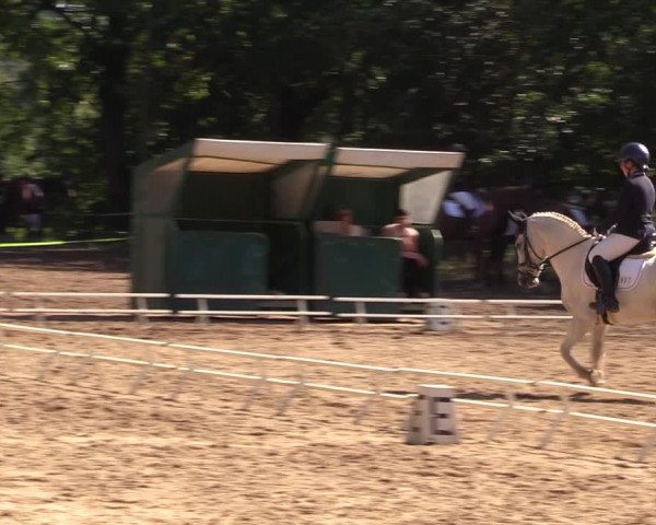 Reitturnier Langenleuba - Oberhain 2023