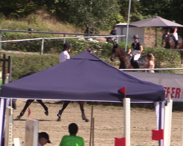 Reitturnier Langenleuba - Oberhain 2023
