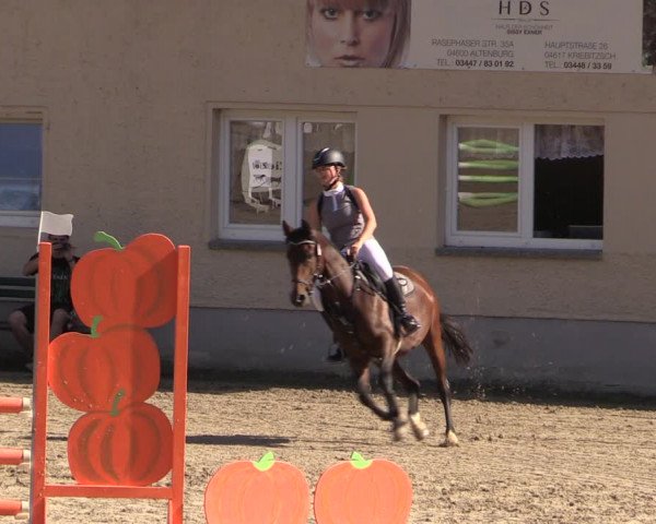 Reitturnier Langenleuba - Oberhain 2023