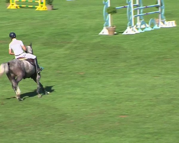 Reitturnier Bad Segeberg 2023