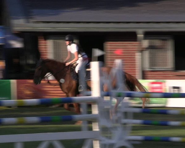 Reitturnier Münchehofe 2023