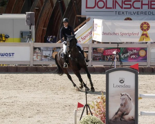 Reitturnier Winterlingen 2023