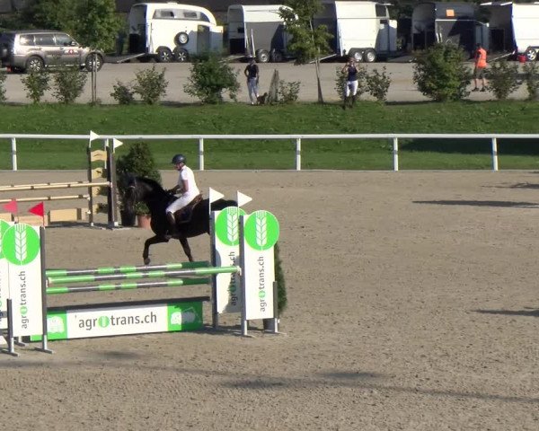 Reitturnier Bülach 2023