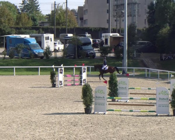 Reitturnier Bülach 2023