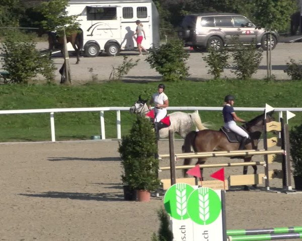 Reitturnier Bülach 2023