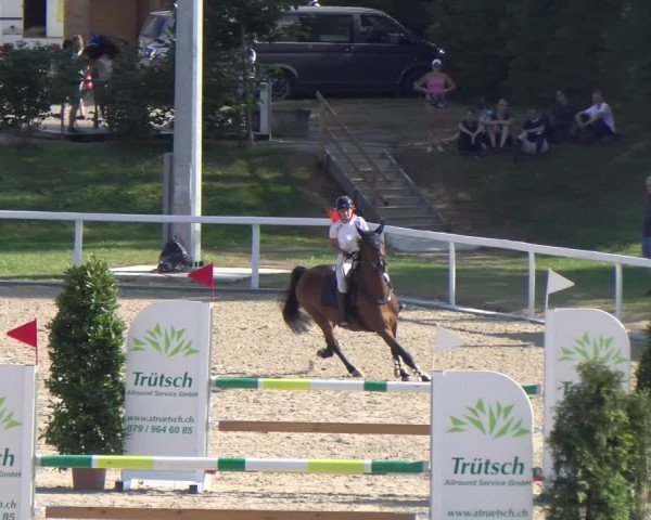 Reitturnier Bülach 2023